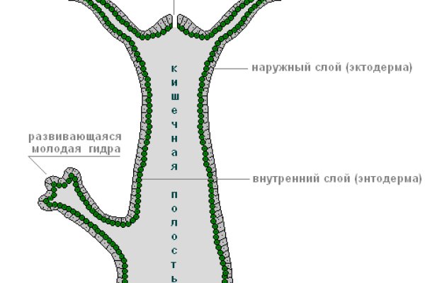 Кракен даркнет маркетплейс